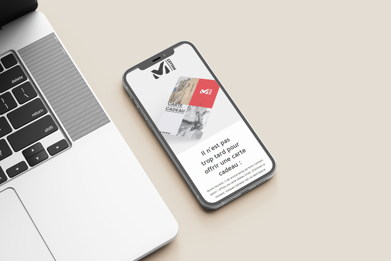 Newsletter Millet mountain group webdesign
