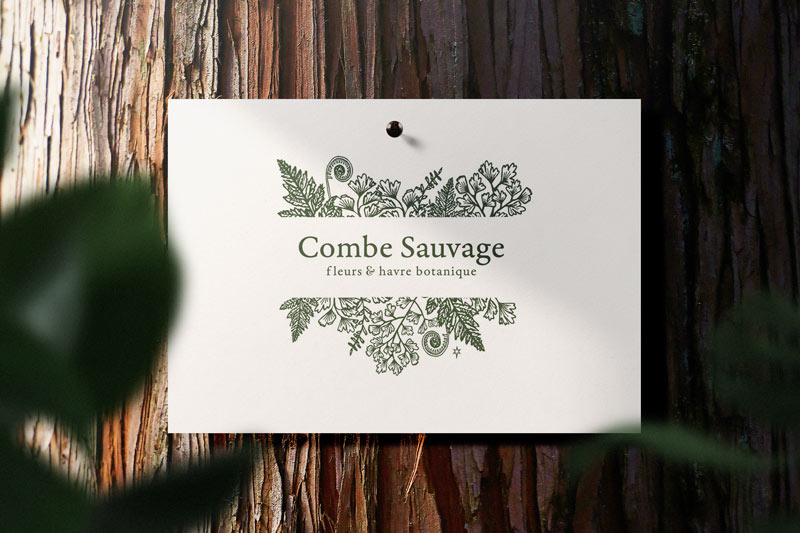 combe sauvage creation de logo