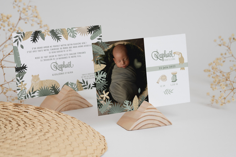 faire part de naissance jungle