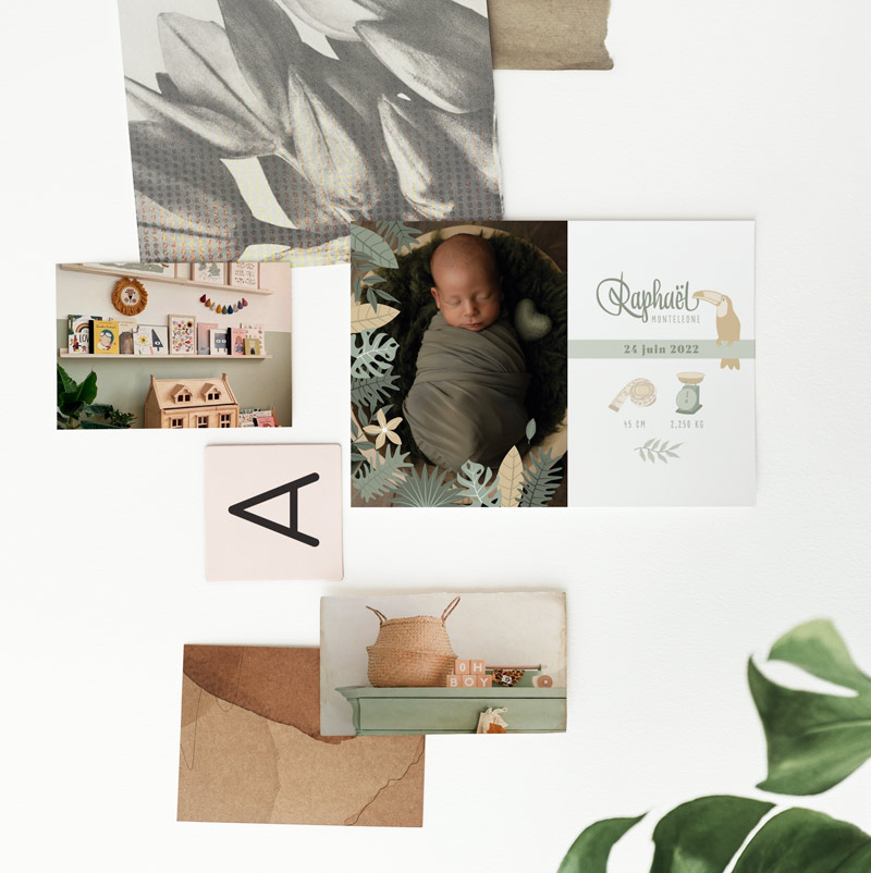 faire part de naissance jungle