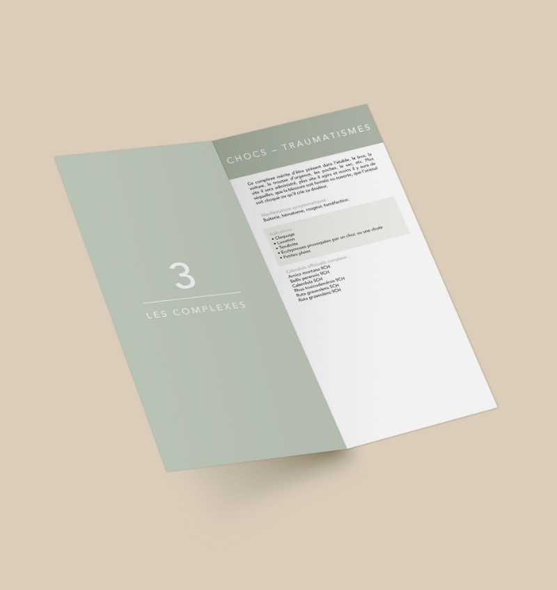Brochure Lexique homéopathie animaux