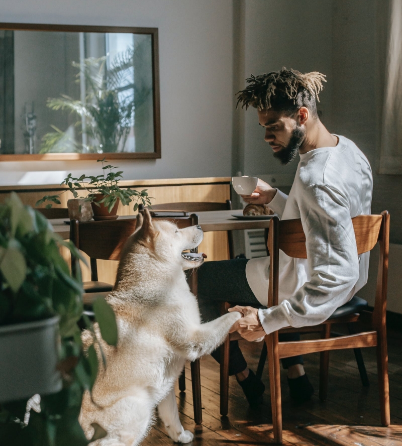 Brochure Lexique homéopathie animaux