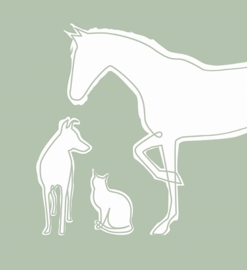 Brochure Lexique homéopathie animaux