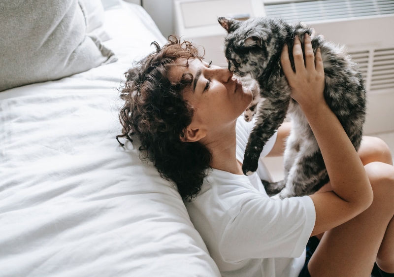 Brochure Lexique homéopathie animaux