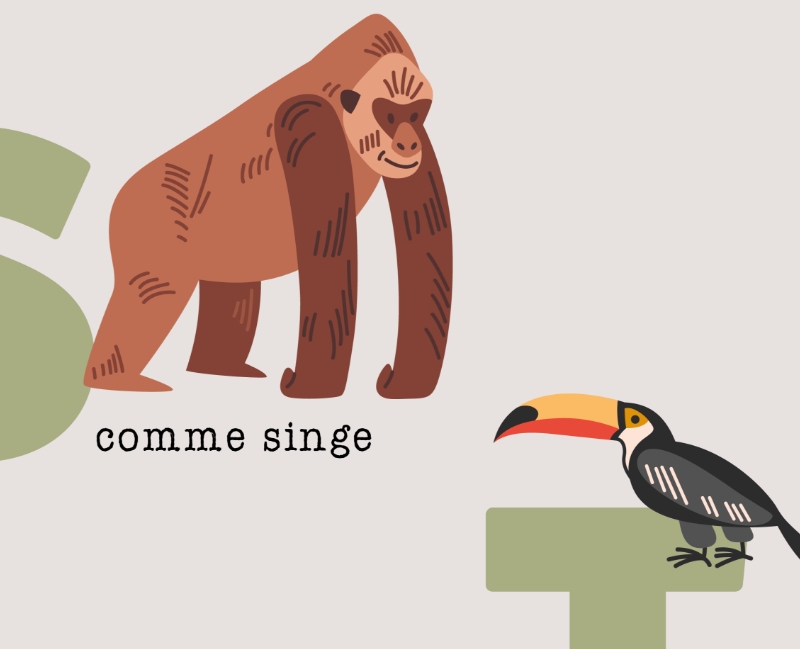 affiche de naissance personnalisée