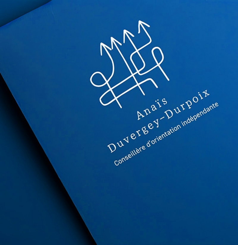 creation-logo-conseillere-orientation-anais-duvergey-durpoix